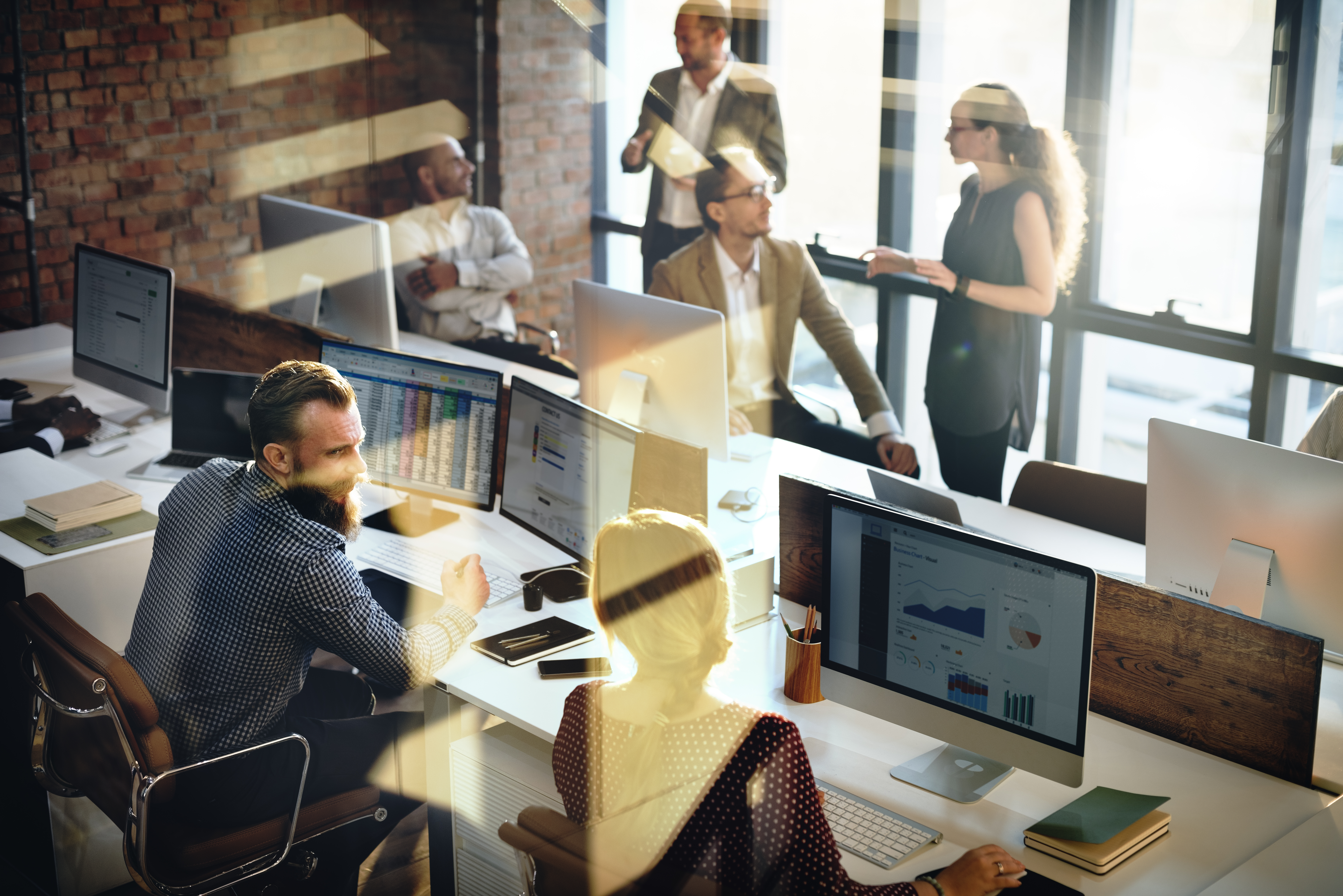 В России сократилось число юрлиц и выросло число ИП