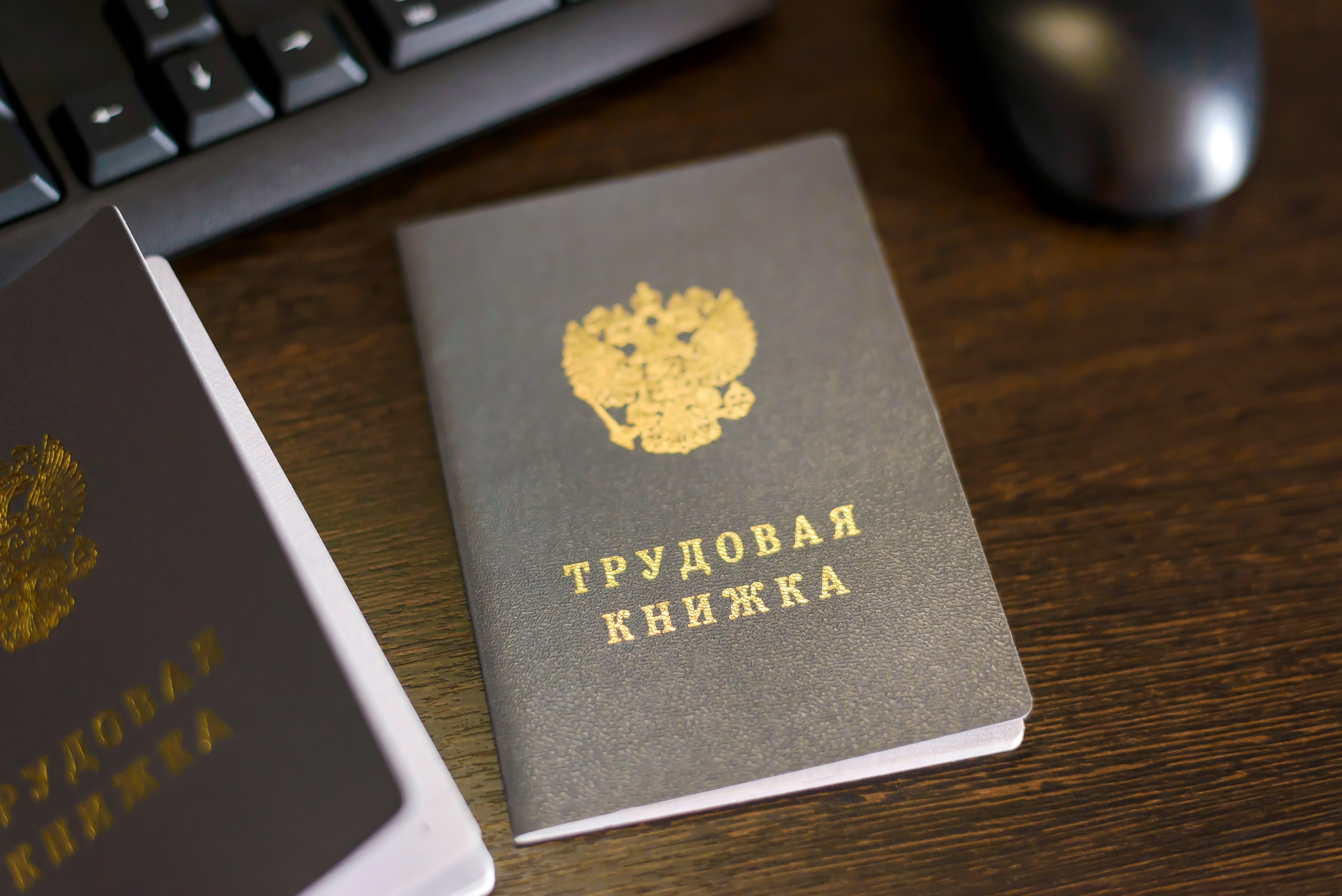 Вице-премьер Голикова заявила об отсутствии роста безработицы в России