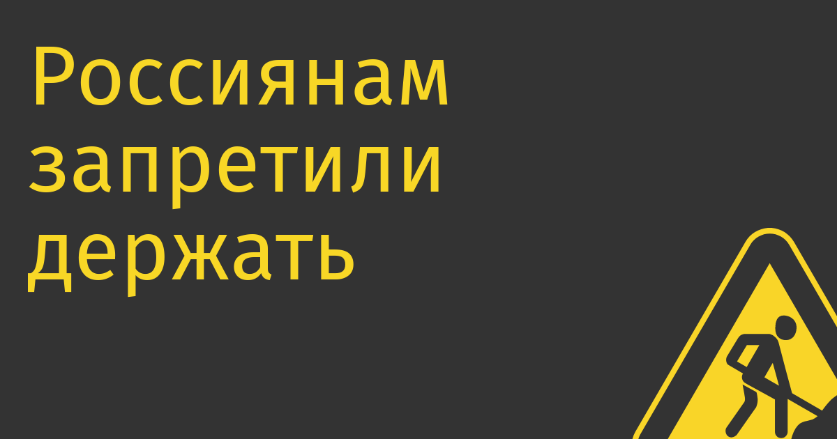 Россиянам запретили держать на криптокошельке больше €10 тыс, но это легко обойти