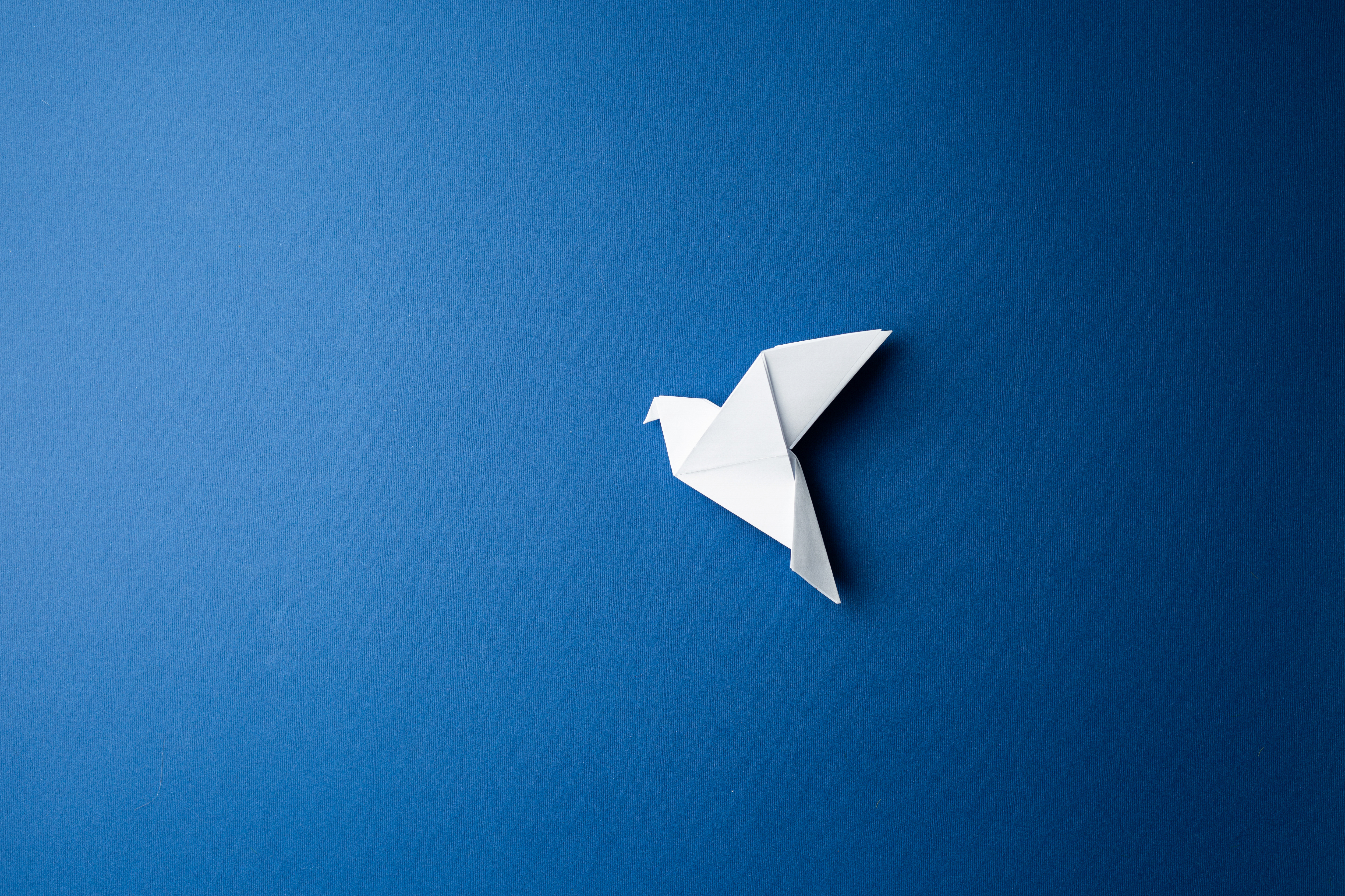 Возможное смягчение требований к продаже валютной выручке, ответные санкции: главные новости для бизнеса 14 апреля