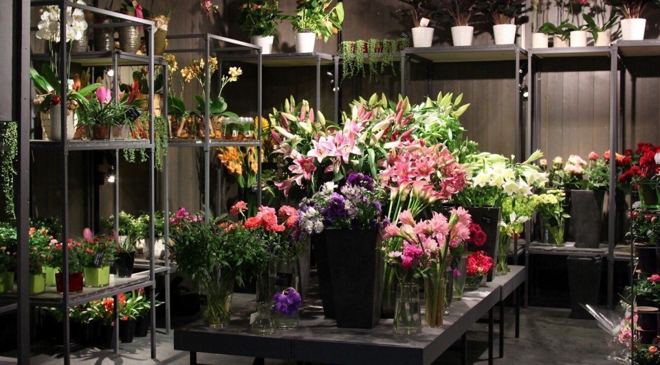 Возить придётся самолётами вместо фур, а это другие деньги: что меняется в цветочном бизнесе без импорта из Нидерландов