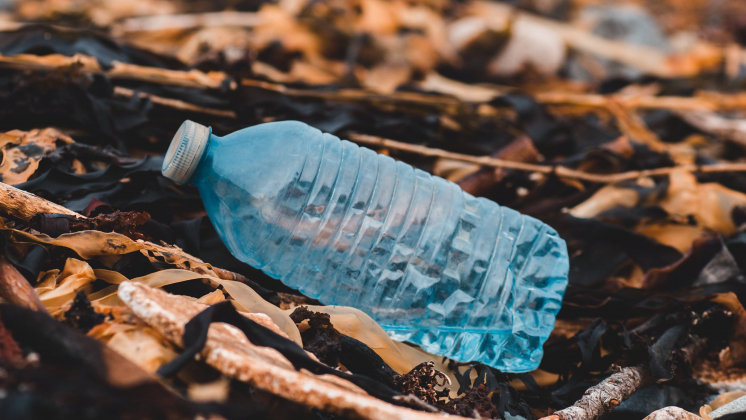 Власти потратят до 129 млн рублей на кампании по привлечению к очистке водоёмов в СМИ