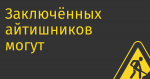 Заключённых айтишников могут отдать коммерческим разработчикам