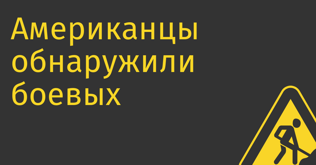Американцы обнаружили боевых дельфинов в Севастопольской бухте