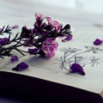 Важное за неделю: итоги первого квартала от ВКонтакте и результаты исследования соцмедиа в России