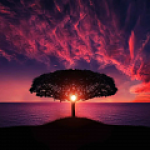 Важное за неделю: новые запреты от Google Play и новый способ заработка для блогеров в TikTok