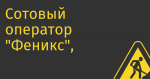 Сотовый оператор «Феникс», работающий в ЛДНР и части регионов Украины, получил российский код +7 (949)