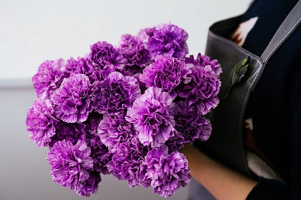 Вы точно ничего не пропустили