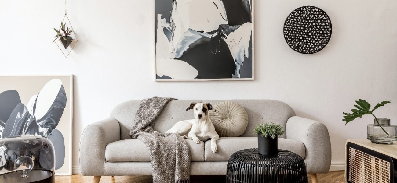 DomUm Decoration — платформа, объединяющая художников с покупателями