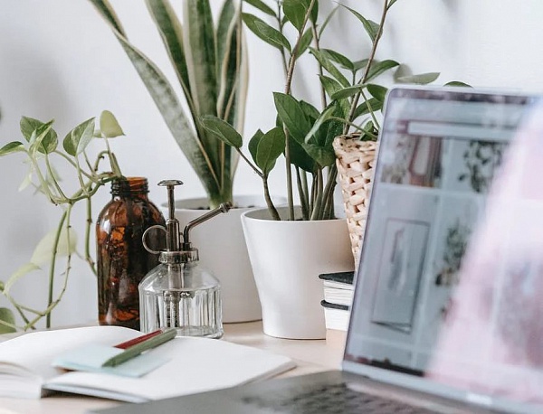 «Прямая линия» с Михаилом Воловичем и Алексеем Губерманом: отвечаем на вопросы