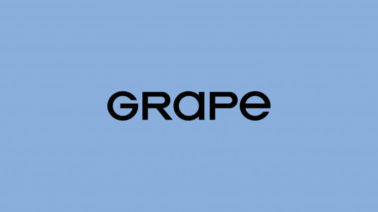 Wunderman Thompson Group в России переименовалась в Grape