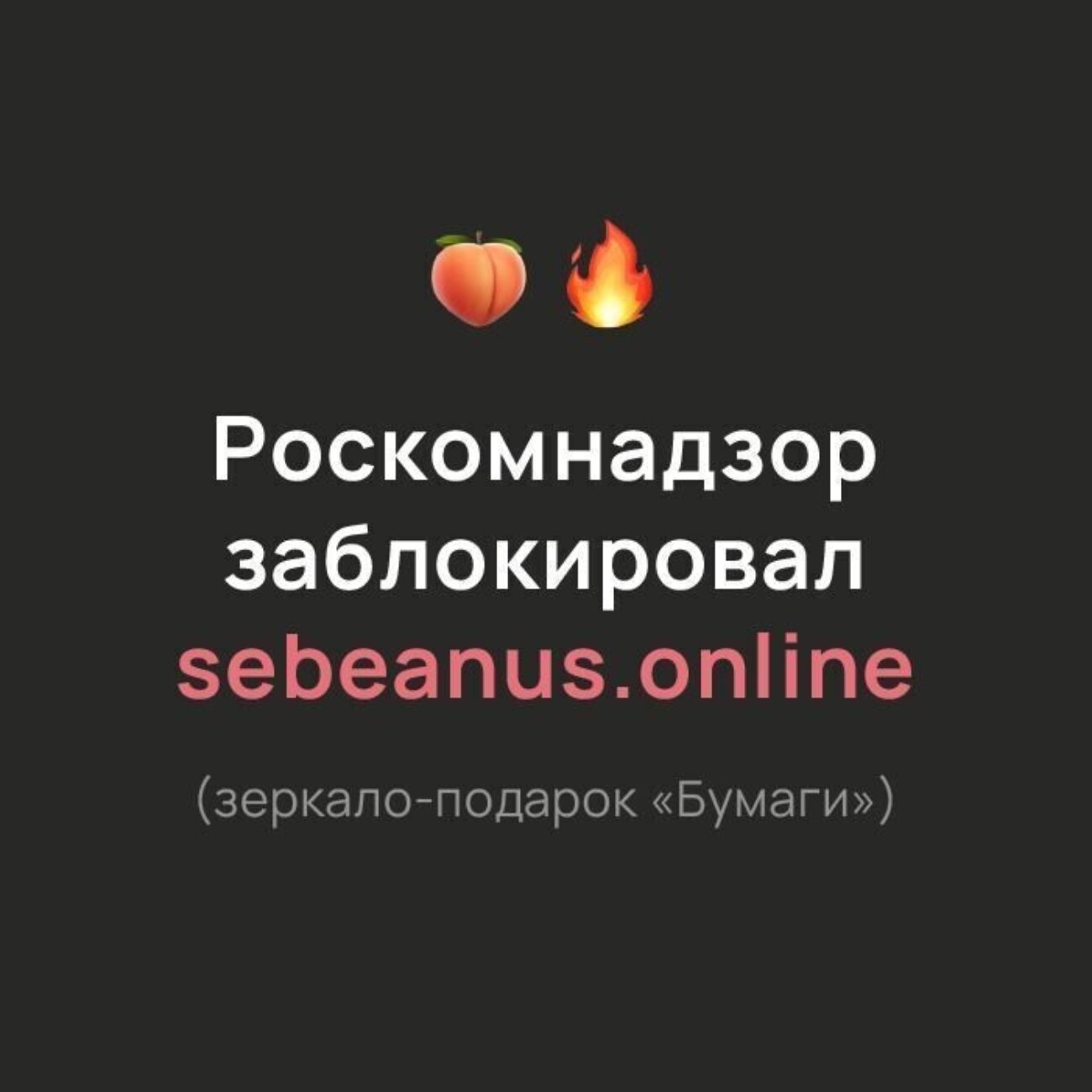 Роскомнадзор заблокировал «sebeanus.online» — восьмое зеркало петербургского издания «Бумага»