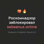 Роскомнадзор заблокировал «sebeanus.online» — восьмое зеркало петербургского издания «Бумага»