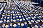 Власти Швеции запретили Tetra Pak экспорт в Россию
