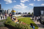 Rooftop Party & Live Band At Google Chicago