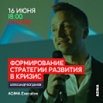 Стратегия развития в кризис