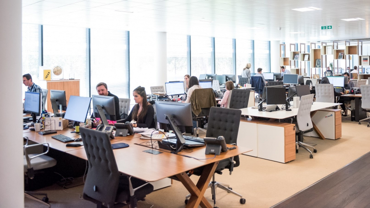 Российские чиновники переходят на отечественные мессенджеры и сервисы видеоконференц-связи