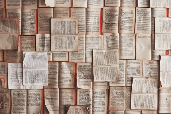 Куда пойти учиться: карьера во фронтенд-разработке и сбор семантики в Wordstat