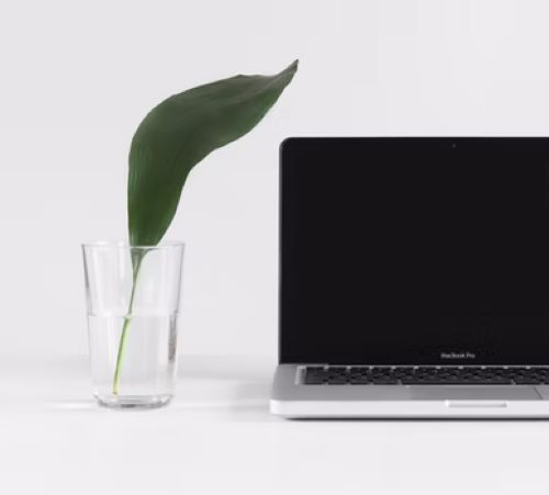 Яндекс Директ представил новые правила сертификации агентств