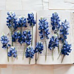 Важное за неделю: запуск новой функции планирования на платформе VK Звонки и резкий рост рекламных бюджетов в Telegram