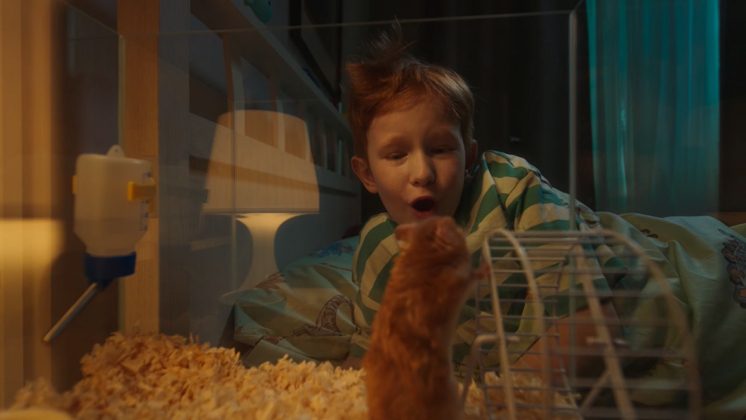 «Подарить вторую жизнь несложно»: РЭО сравнил хомяка с пластиковой бутылкой в новом ролике