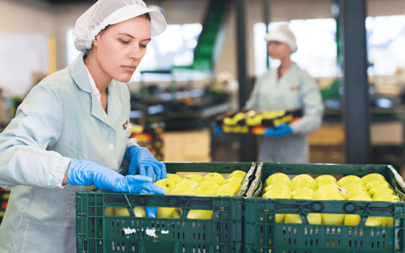 Новости и тексты на фоне 166 дня «операции»: Минсельхоз запустит национального дистрибьютора продуктов