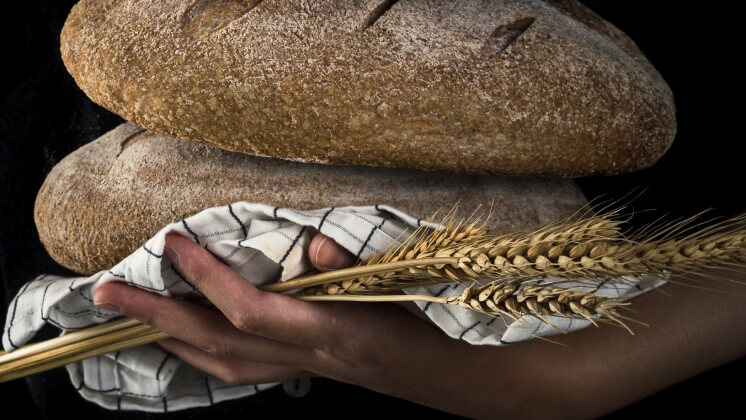 В Минсельхозе хотят создать национального дистрибьютора продуктов за границу