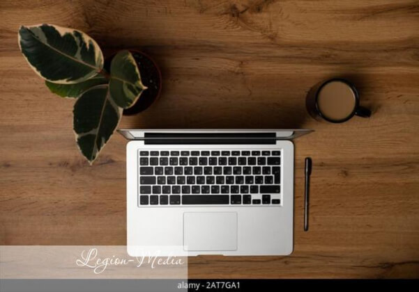 Как эволюционировали посевы в социальных сетях?