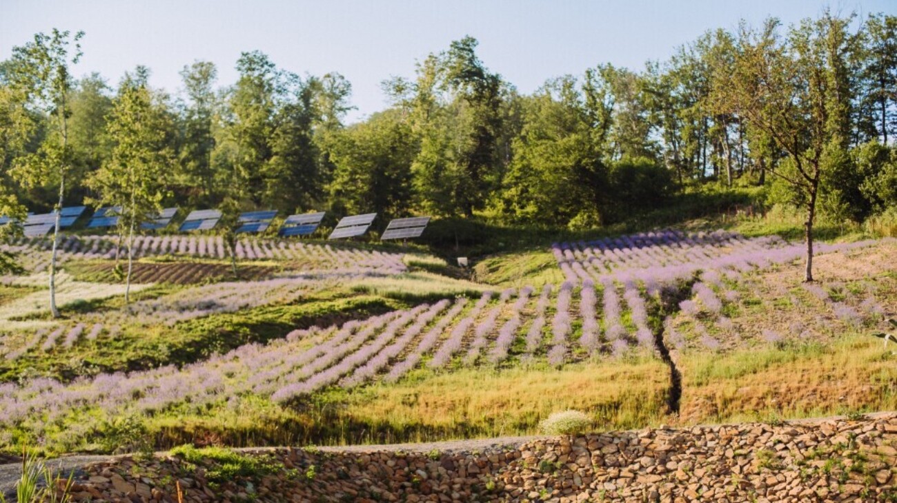 Генпрокуратура потребовала расторгнуть договор на землю «Краснополянской косметики» — из-за этого ферма может закрыться