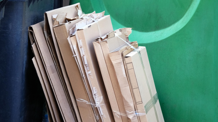 В России ввели временное ограничение на экспорт бумаги и картона