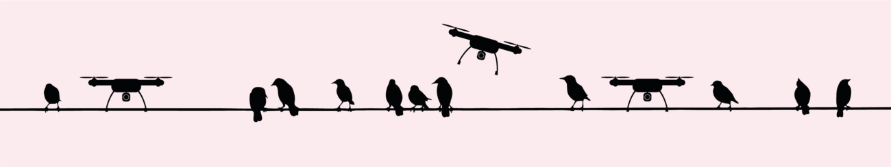 Коротко: придумать, как вырастить много винограда и вылечить коров