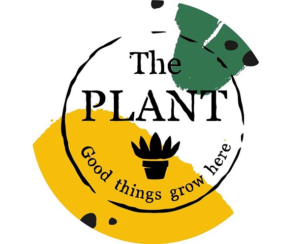 Выращиваем поисковый трафик на засушливой почве ограничений. Кейс зеленой студии The Plant