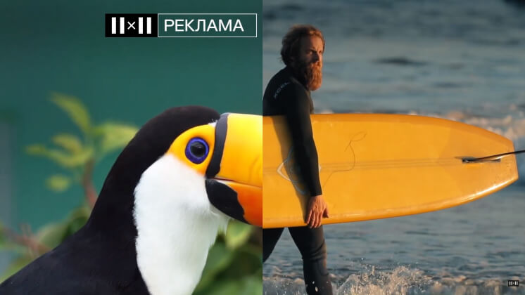 Что общего у тукана и сёрфера: 2х2 обновил эфирную айдентику