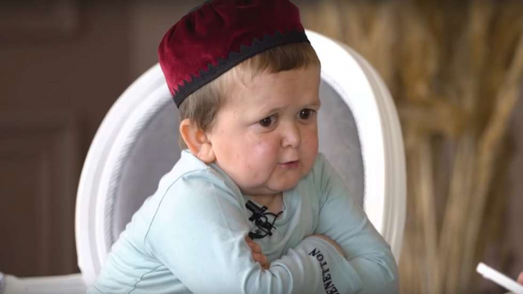 Блогер Хасбик подписал пятилетний контракт с UFC