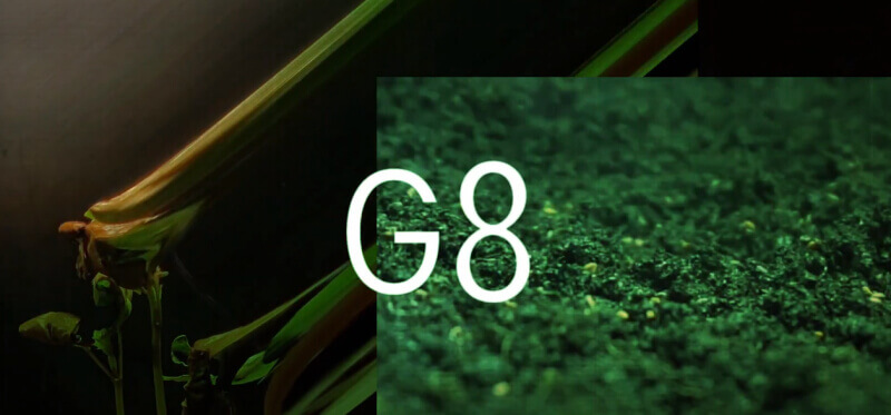 Фестиваль креативных индустрий G8 объявил победителей