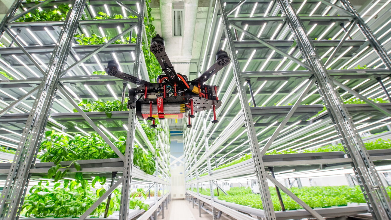 Российский производитель вертикальных теплиц iFarm построит фермы в Саудовской Аравии, ОАЭ и Индии