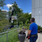 Video Of A Crane Loading Equipment At Google Zurich