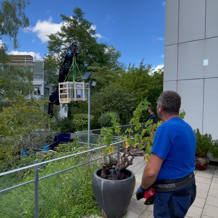 Video Of A Crane Loading Equipment At Google Zurich