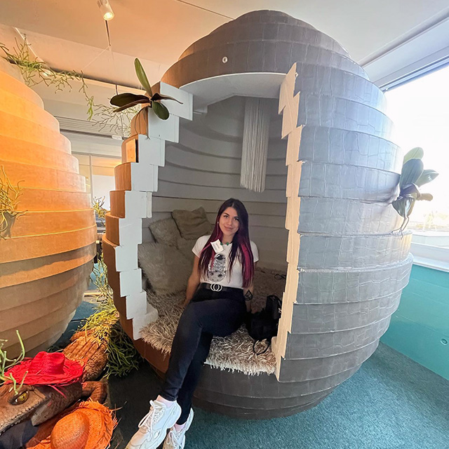 Google Zurich Egg Room
