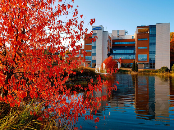 Первая иностранная фармкомпания может уйти с российского рынка