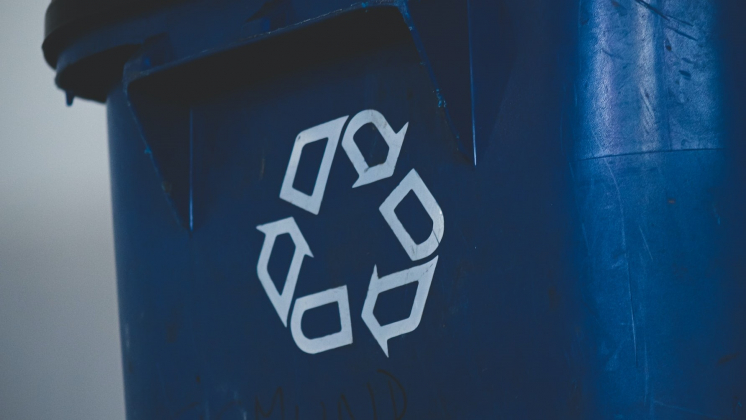 РЭО потратит до 79,3 млн рублей на просветительский креатив об экономике замкнутого цикла