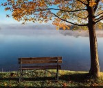 Вы точно ничего не пропустили