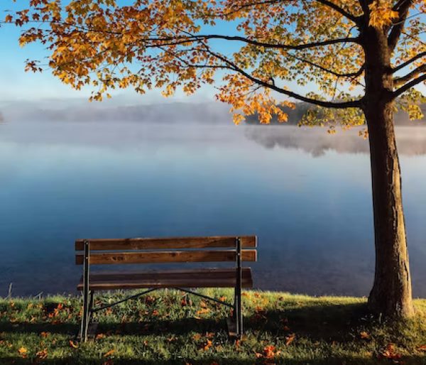 Вы точно ничего не пропустили