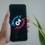 TikTok Creator Marketplace: гид по использованию в 2022 году