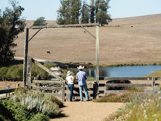 Googlers Host Off Site Ranch Retreat