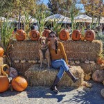 Halloween Photos From Google Offices Around The World