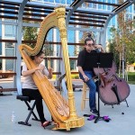 Harp & Cello At Google