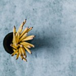 Как мы привлекли 480 лидов по 109 рублей на онлайн-курс по Telegram