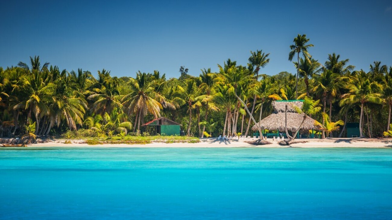 День 284: Доминикана планирует наладить поставки рома, доля просроченных микрозаймов россиян достигла 43%