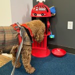 Google Doogler Fire Station Hydrant